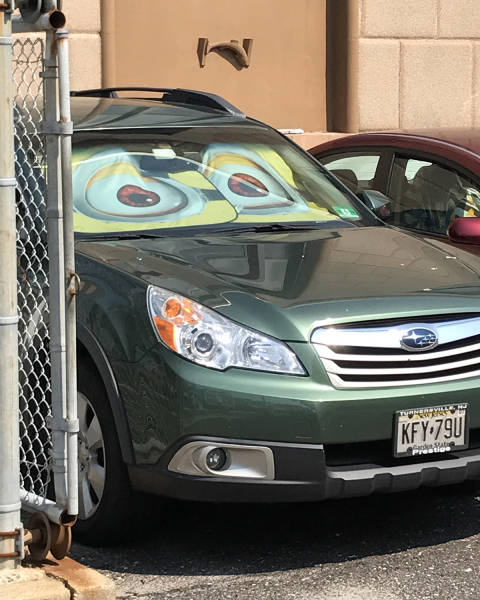 morning picdump 53 pics 22.html - 53 HD Photos | Premium Gallery 2017