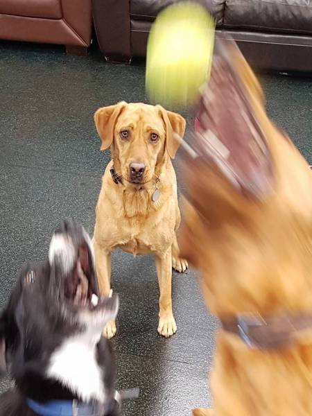 Daily Picdump [WEEKEND EDITION]