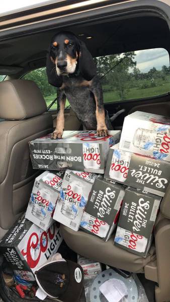 daily picdump weekend edition 71 pics 33.html - 71 HD Photos | Premium Gallery 2017