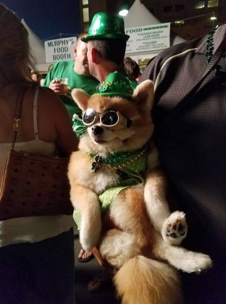 daily picdump weekend edition 71 pics 33.html - 71 HD Photos | Premium Gallery 2017