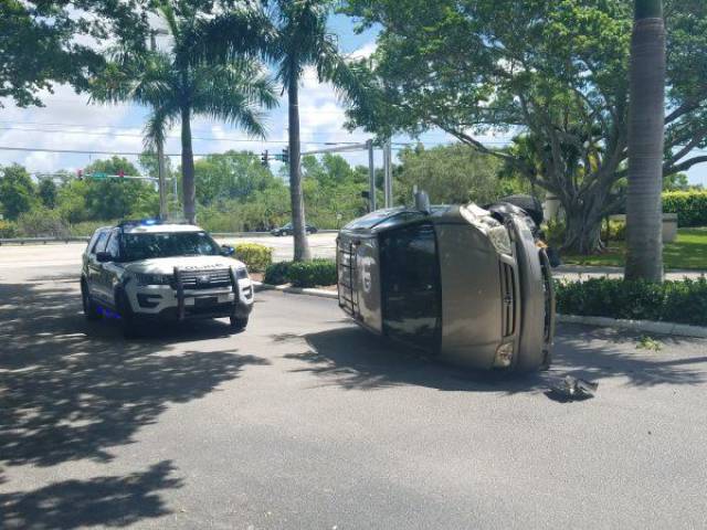 daily picdump weekend edition 71 pics 33.html - 71 HD Photos | Premium Gallery 2017