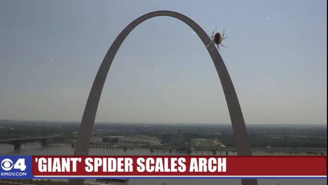 daily picdump weekend edition 71 pics 33.html - 71 HD Photos | Premium Gallery 2017