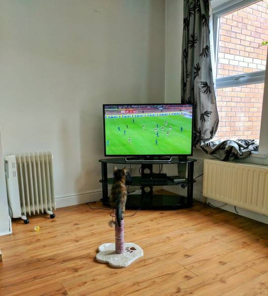 daily picdump 95 pics 9.html - 95 HD Photos | Premium Gallery 2017