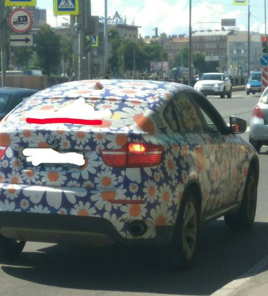 daily picdump 95 pics 9.html - 95 HD Photos | Premium Gallery 2017