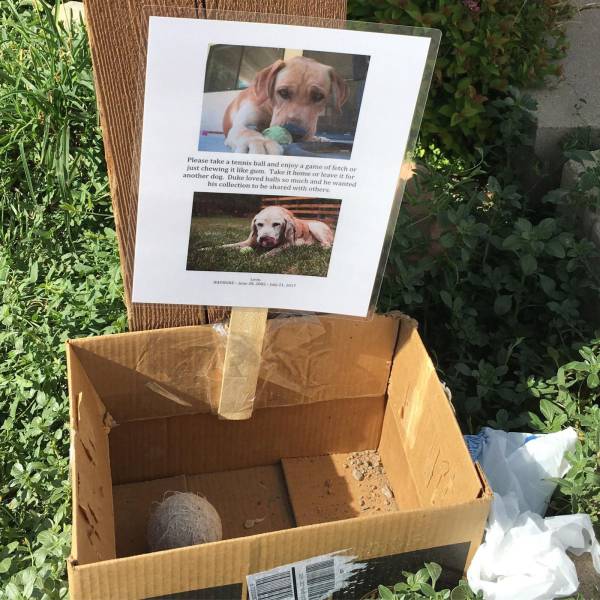 daily picdump 95 pics 9.html - 95 HD Photos | Premium Gallery 2017