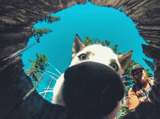 daily picdump 95 pics 9.html - 95 HD Photos | Premium Gallery 2017