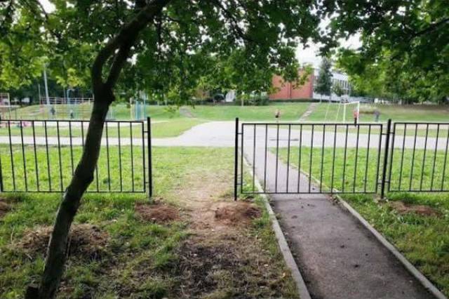 Damn, Almost Nailed It