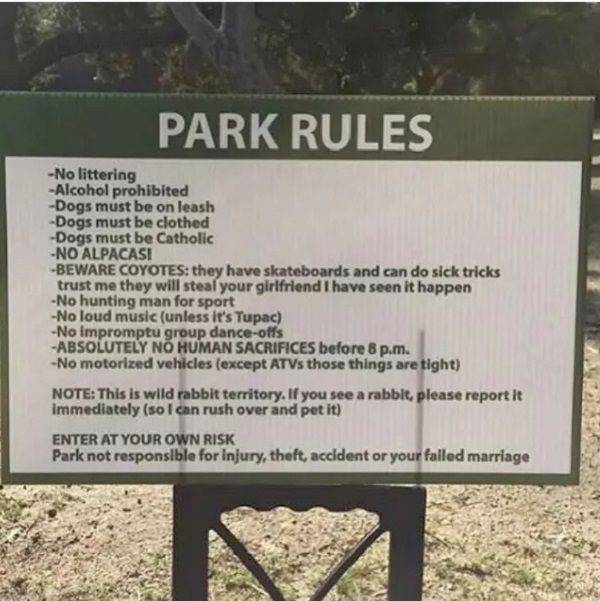 Damn, Almost Nailed It