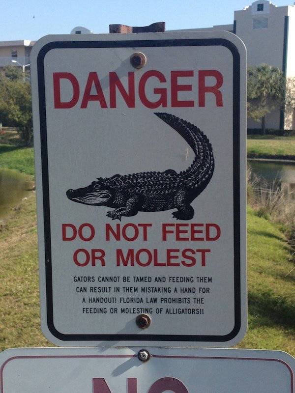 Damn, Almost Nailed It