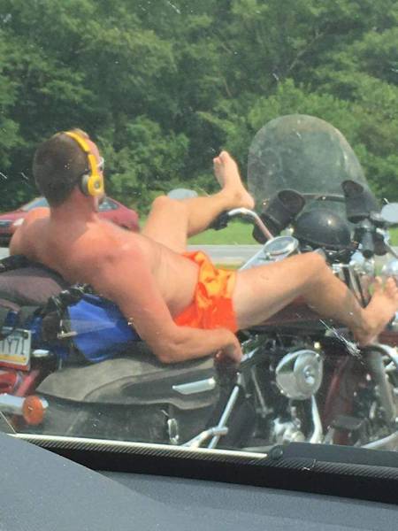 Daily Picdump