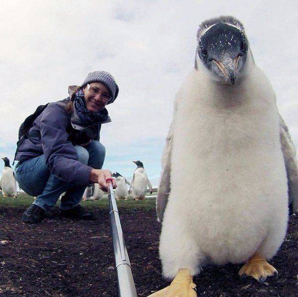 daily picdump 95 pics 4.html - 95 HD Photos | Premium Gallery 2017