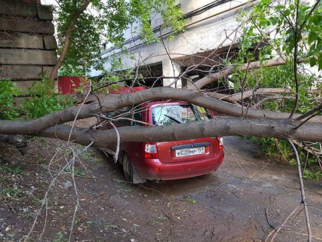 daily picdump 95 pics 4.html - 95 HD Photos | Premium Gallery 2017