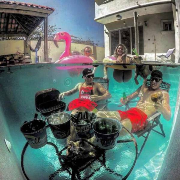 daily picdump 95 pics 4.html - 95 HD Photos | Premium Gallery 2017