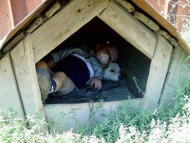 daily picdump 95 pics 4.html - 95 HD Photos | Premium Gallery 2017