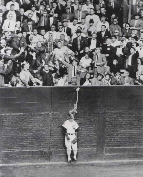 daily picdump 95 pics 4.html - 95 HD Photos | Premium Gallery 2017