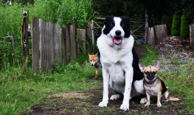 daily picdump 95 pics 4.html - 95 HD Photos | Premium Gallery 2017