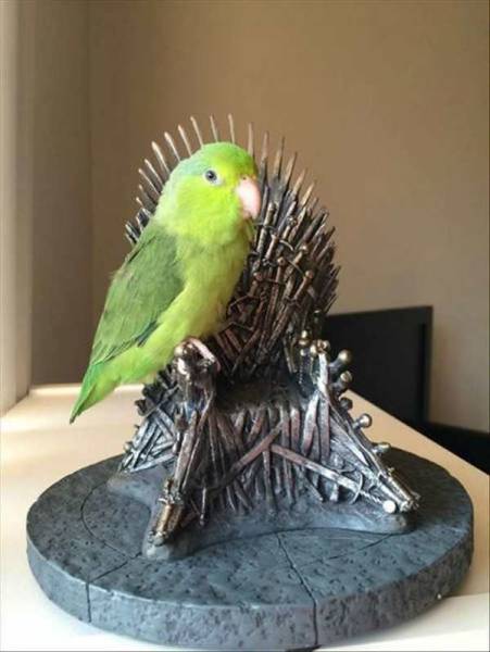 daily picdump 95 pics 4.html - 95 HD Photos | Premium Gallery 2017