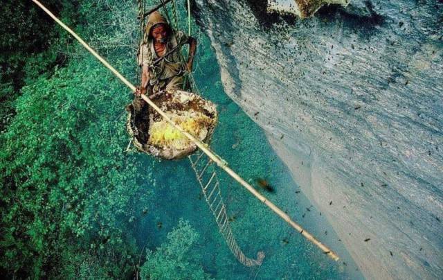 daily picdump 95 pics 4.html - 95 HD Photos | Premium Gallery 2017