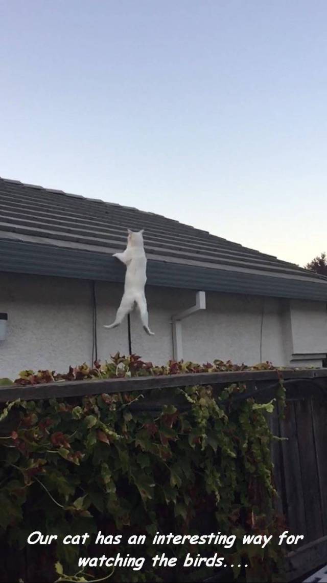 daily picdump 95 pics 4.html - 95 HD Photos | Premium Gallery 2017