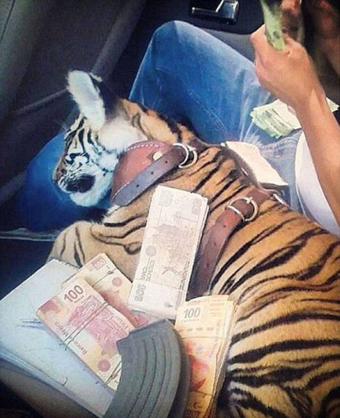 Mexican Drug Cartels Let Their Kids Live Very Rich Lives