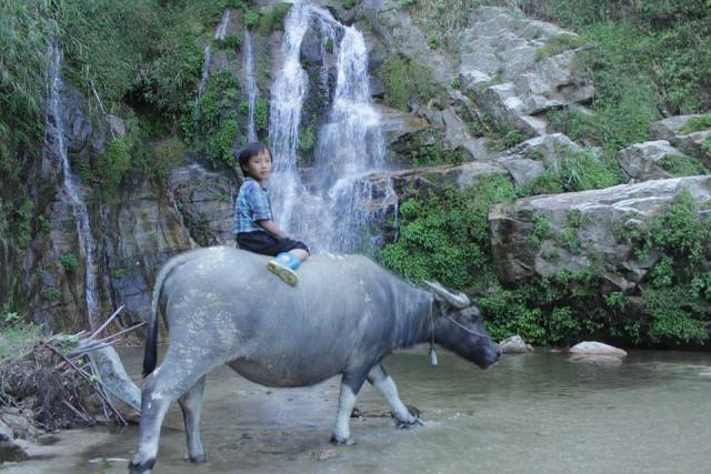 morning picdump 50 pics 18.html - 50 HD Photos | Premium Gallery 2017