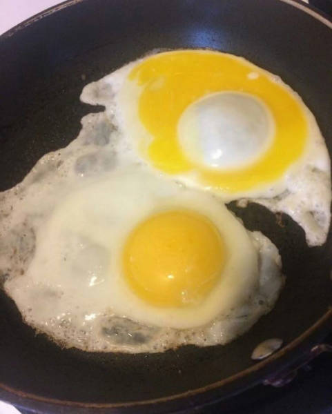 morning picdump 50 pics 18.html - 50 HD Photos | Premium Gallery 2017