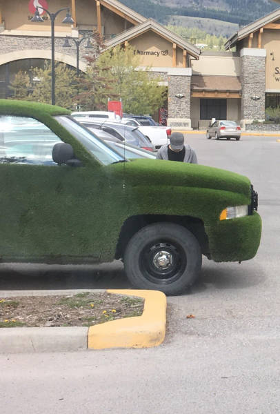 morning picdump 50 pics 18.html - 50 HD Photos | Premium Gallery 2017