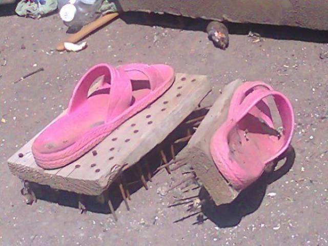 This Post Is Filled With Some Sweet Absolute Nonsense