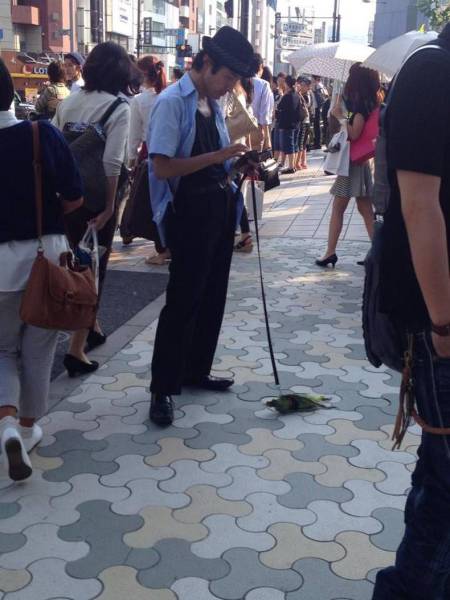 This Post Is Filled With Some Sweet Absolute Nonsense