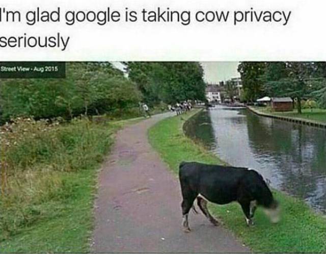 This Post Is Filled With Some Sweet Absolute Nonsense