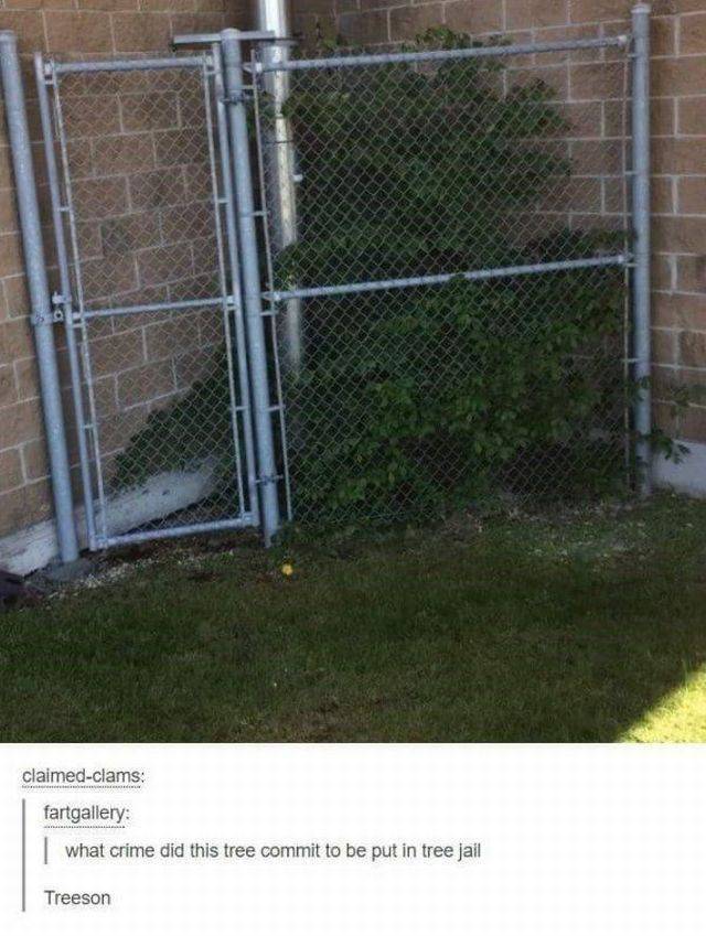 This Post Is Filled With Some Sweet Absolute Nonsense