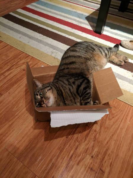 daily picdump 91 pics 8.html - 91 HD Photos | Premium Gallery 2017