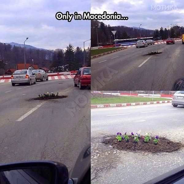 daily picdump 91 pics 8.html - 91 HD Photos | Premium Gallery 2017
