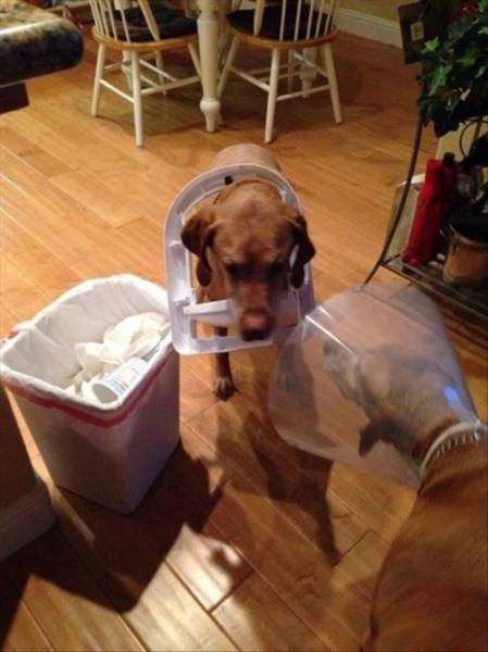daily picdump 91 pics 8.html - 91 HD Photos | Premium Gallery 2017