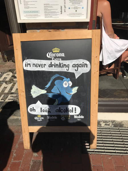 Morning Picdump