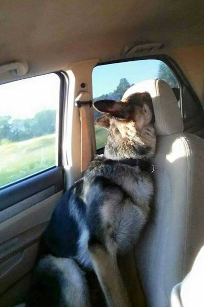 morning picdump 53 pics 4.html - 53 HD Photos | Premium Gallery 2017
