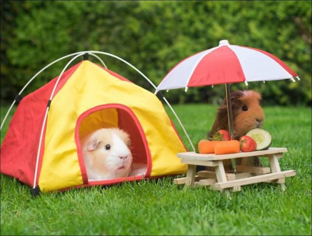 daily picdump 94 pics 47.html - 94 HD Photos | Premium Gallery 2017