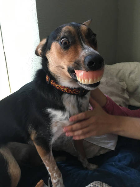 morning picdump 52 pics 7.html - 52 HD Photos | Premium Gallery 2017