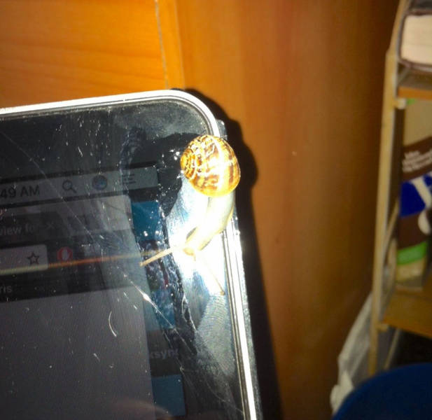 morning picdump 52 pics 7.html - 52 HD Photos | Premium Gallery 2017