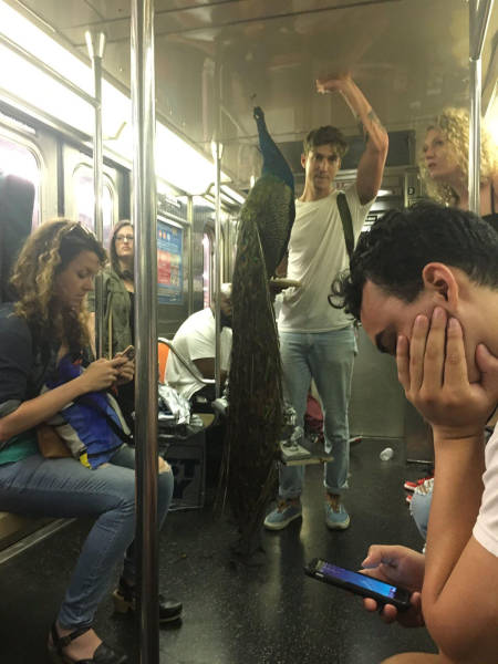 morning picdump 52 pics 7.html - 52 HD Photos | Premium Gallery 2017