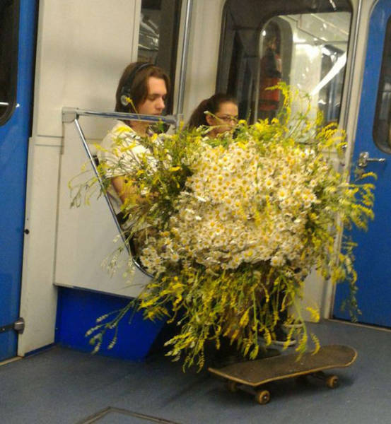 Daily Picdump [WEEKEND EDITION]