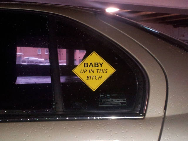 Daily Picdump [WEEKEND EDITION]