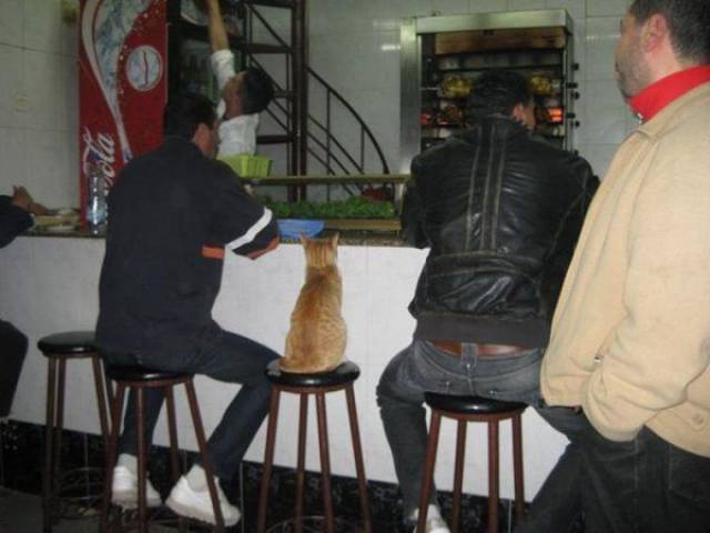 daily picdump 96 pics 31.html - 96 HD Photos | Premium Gallery 2017