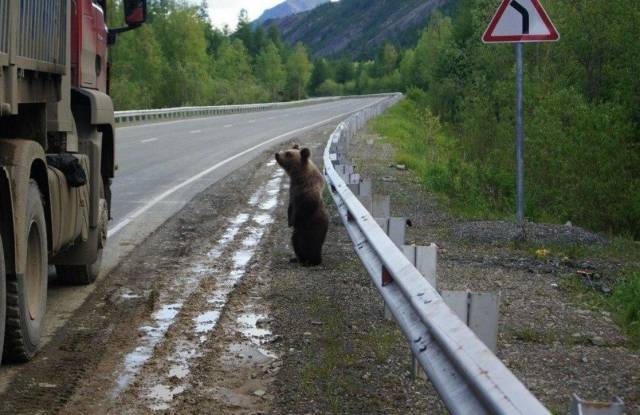 daily picdump 93 pics 26.html - 93 HD Photos | Premium Gallery 2017