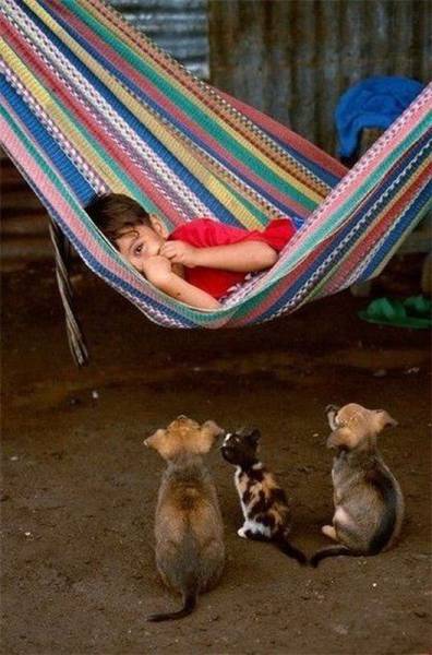 daily picdump 93 pics 26.html - 93 HD Photos | Premium Gallery 2017