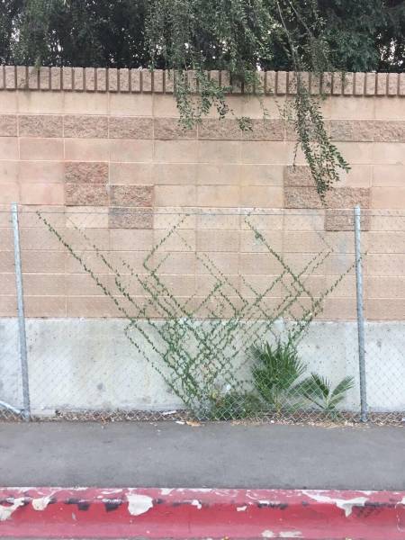 daily picdump 93 pics 26.html - 93 HD Photos | Premium Gallery 2017