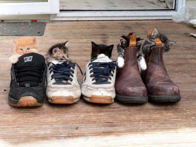 daily picdump 93 pics 26.html - 93 HD Photos | Premium Gallery 2017