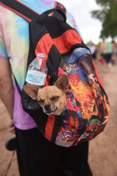 daily picdump 93 pics 26.html - 93 HD Photos | Premium Gallery 2017