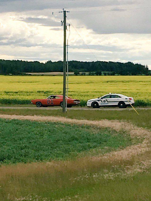 daily picdump 93 pics 26.html - 93 HD Photos | Premium Gallery 2017