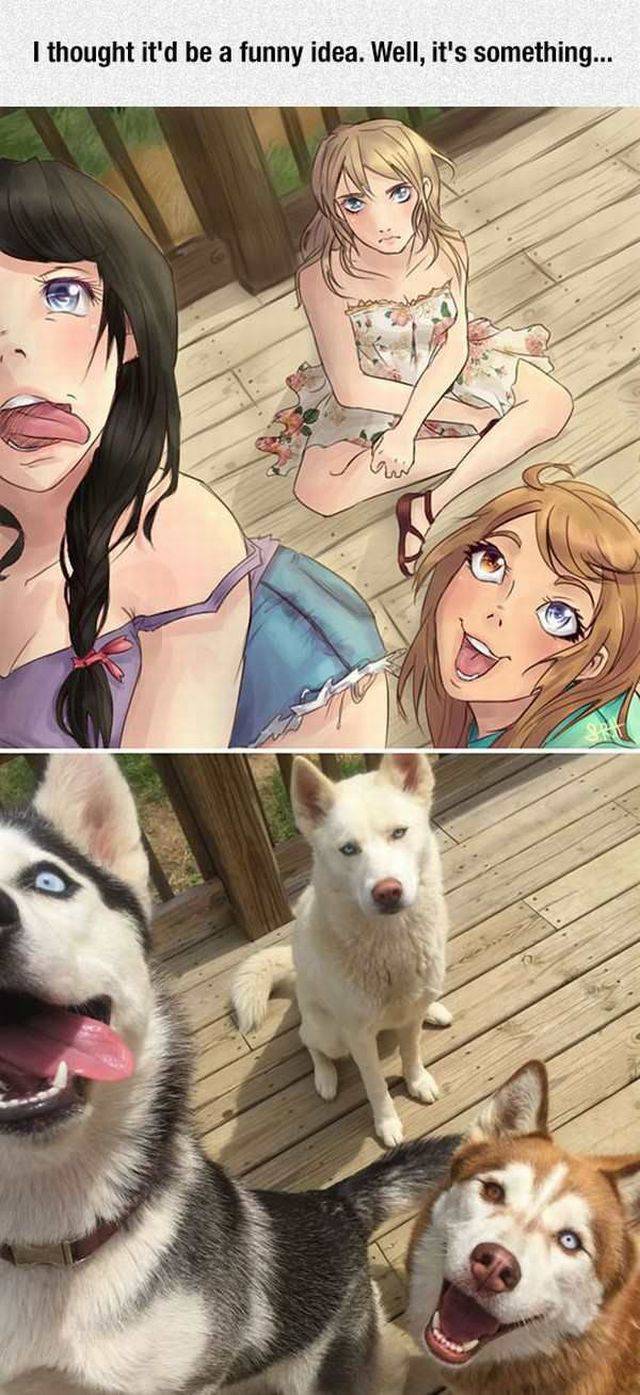 daily picdump 93 pics 26.html - 93 HD Photos | Premium Gallery 2017